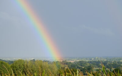 Elections de Saint Marcouf Après l&rsquo;orage, l&rsquo;éclaire